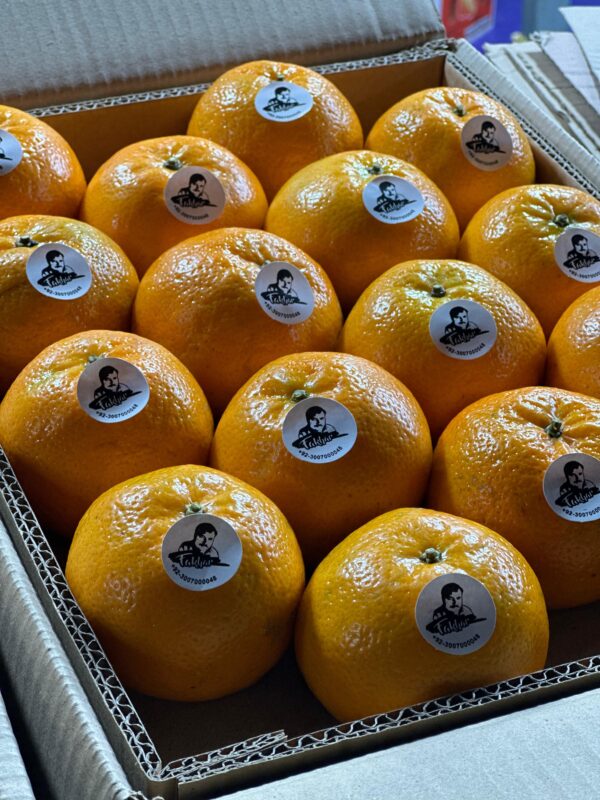 Export quality Oranges- Kinnow - Image 3