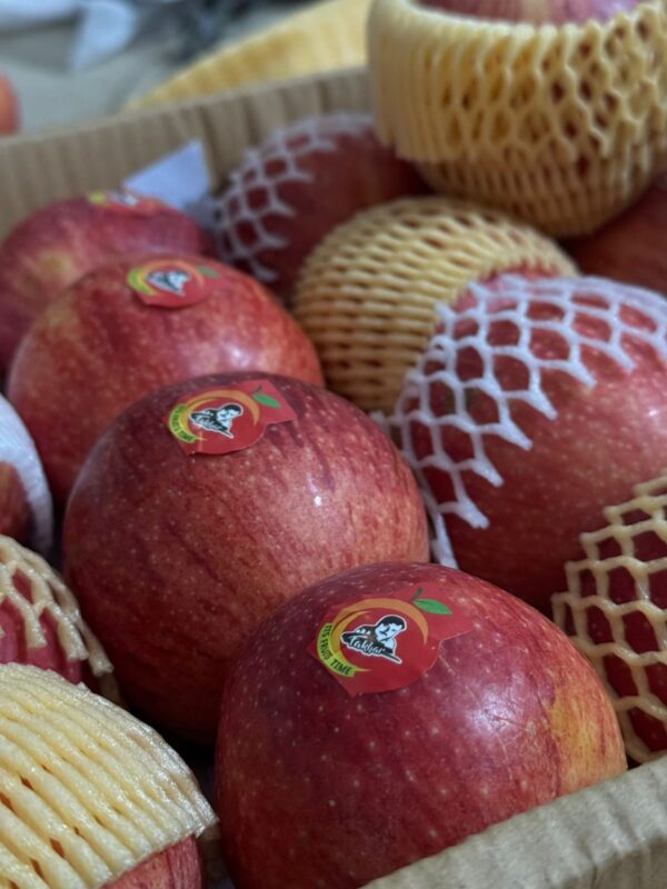 Premium Quality Apples-Gaja