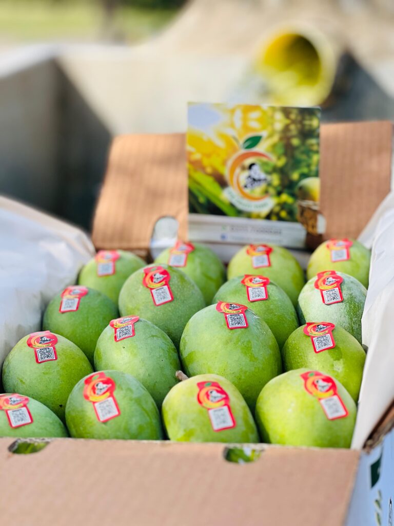 Anwar Export Anwar Ratol Mang | Export Quality