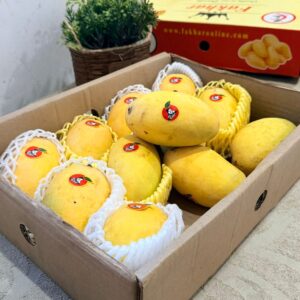 chounsa mango
