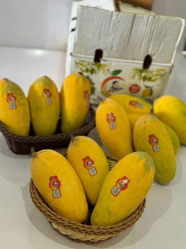 Special Sindhri Mango - Image 2