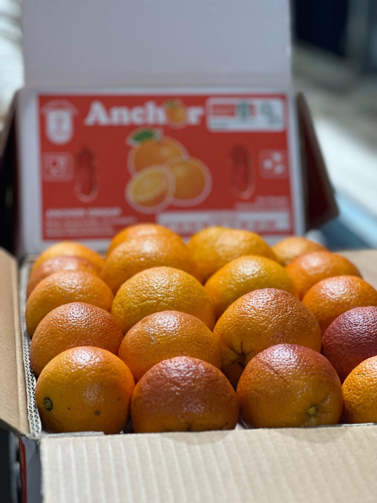 Red Blood Orange - Image 6