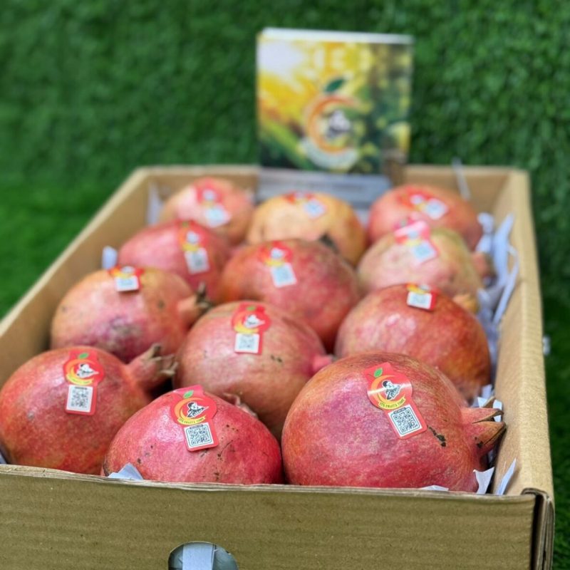 WhatsApp Image 2024-09-28 at 11.44.48 PM WhatsApp Image 2024-09-28 at 11.44.48 PM